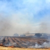 Los bomberos actúan en un incendio en la Dehesilla de Calamón (Badajoz)