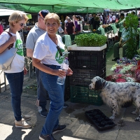 Juntos por Badajoz: “Los animales también nos necesitan”