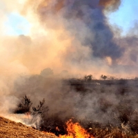 Reabren la circulación en la carretera de Olivenza