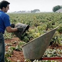 La Unión exige 160 millones para préstamos a jóvenes agricultores extremeños