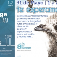 Alange vuelve a celebrar el festival de los vencejos y su ruta de la tapa