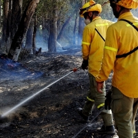 SGTEX denuncia que la Junta podría poner en peligro a sus Agentes Forestales