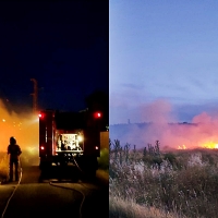 Incendio de pastos en varias barriadas pacenses