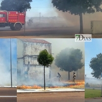 Un incendio de pastos alerta a los vecinos de Ronda Norte en Badajoz