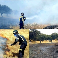 Un incendio quema 100 hectáreas en el entorno de Alburquerque (Badajoz)
