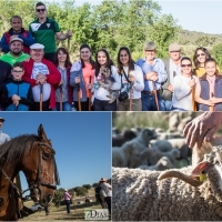 Los valverdeños realizan la ruta de la trashumancia