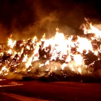 Incendio de alpacas en una finca cercana a Alburquerque