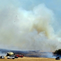 Los bomberos actúan en un incendio de grandes dimensiones en la Dehesilla de Calamón (Badajoz)