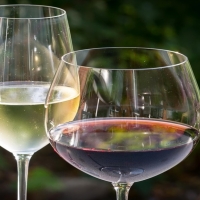 Degusta los mejores vinos y cavas extremeños en Olivenza