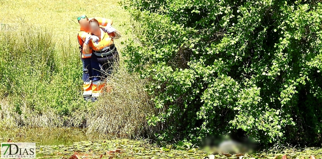 Investigan las causas de la muerte del cadáver que apareció flotando en el Guadiana