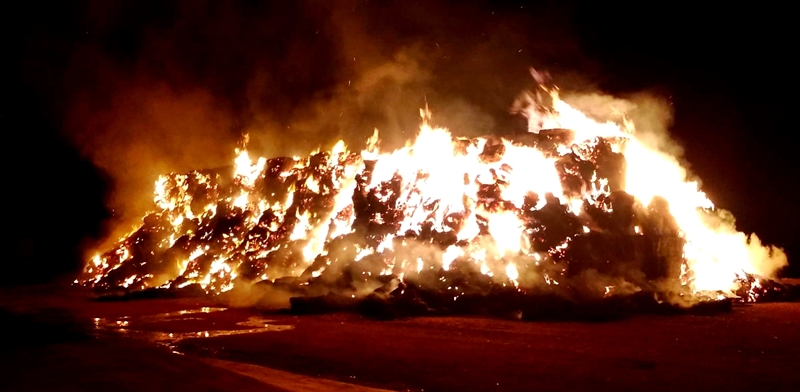 Incendio de alpacas en una finca cercana a Alburquerque