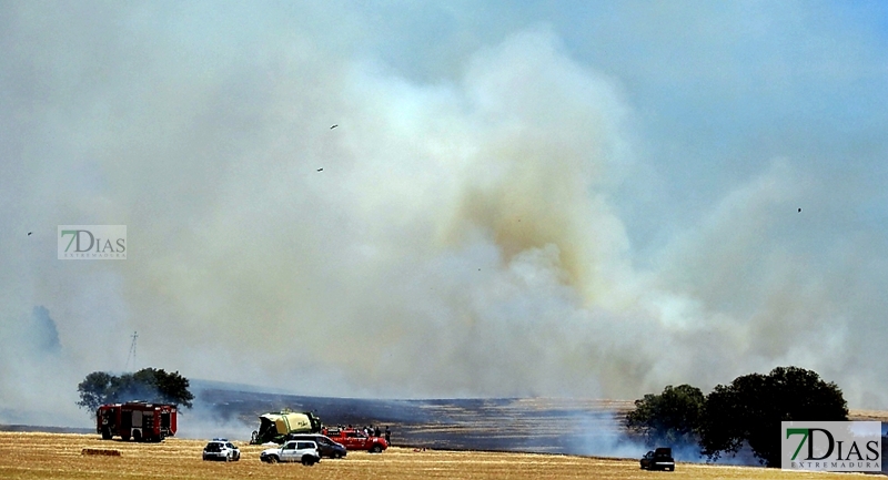 Incendio de grandes dimensiones en la Dehesilla de Calamón (Badajoz)