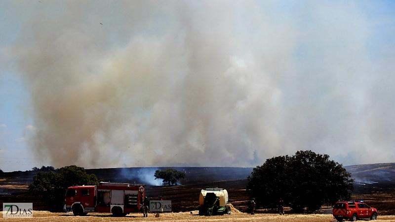 Incendio de grandes dimensiones en la Dehesilla de Calamón (Badajoz)