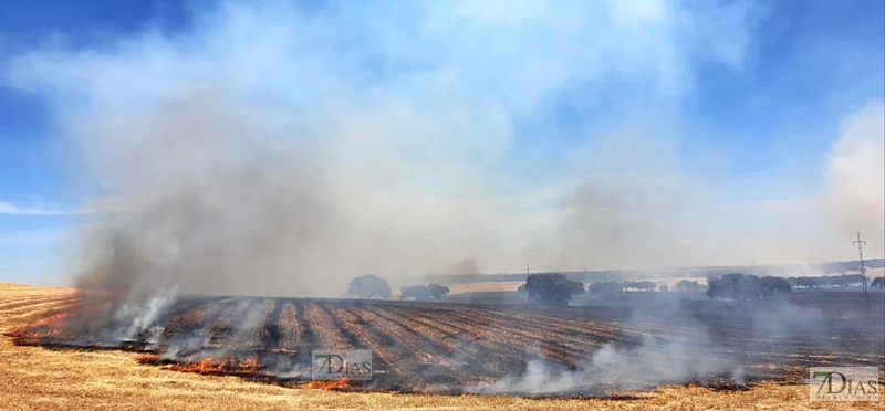 Los bomberos actúan en un incendio en la Dehesilla de Calamón (Badajoz)