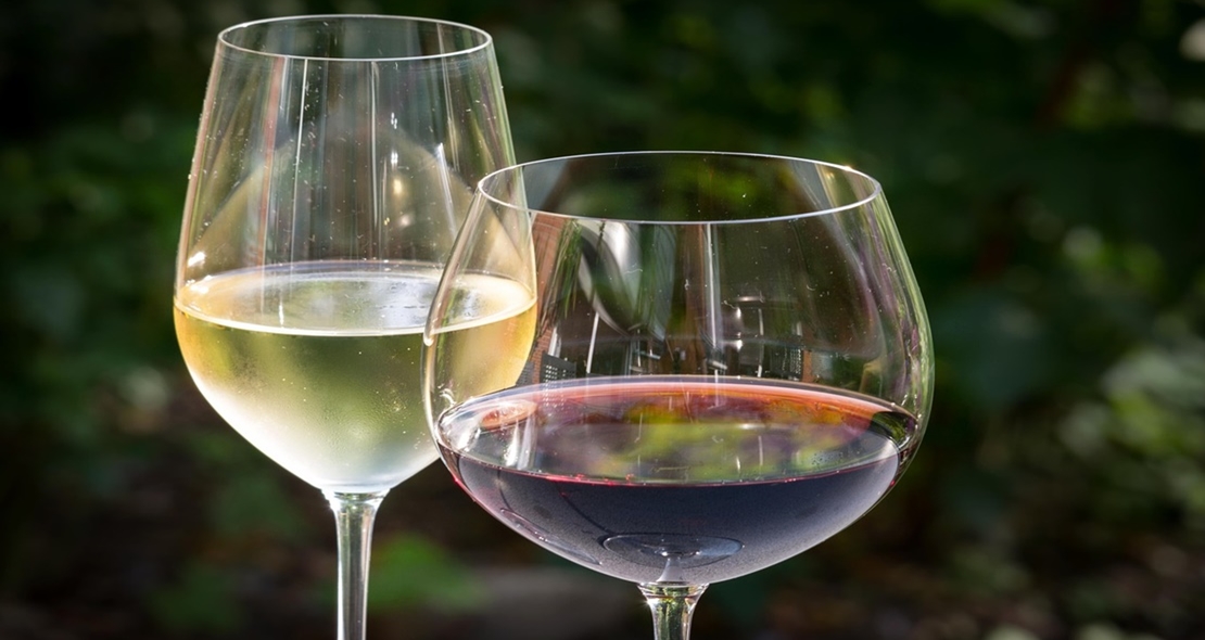 Degusta los mejores vinos y cavas extremeños en Olivenza