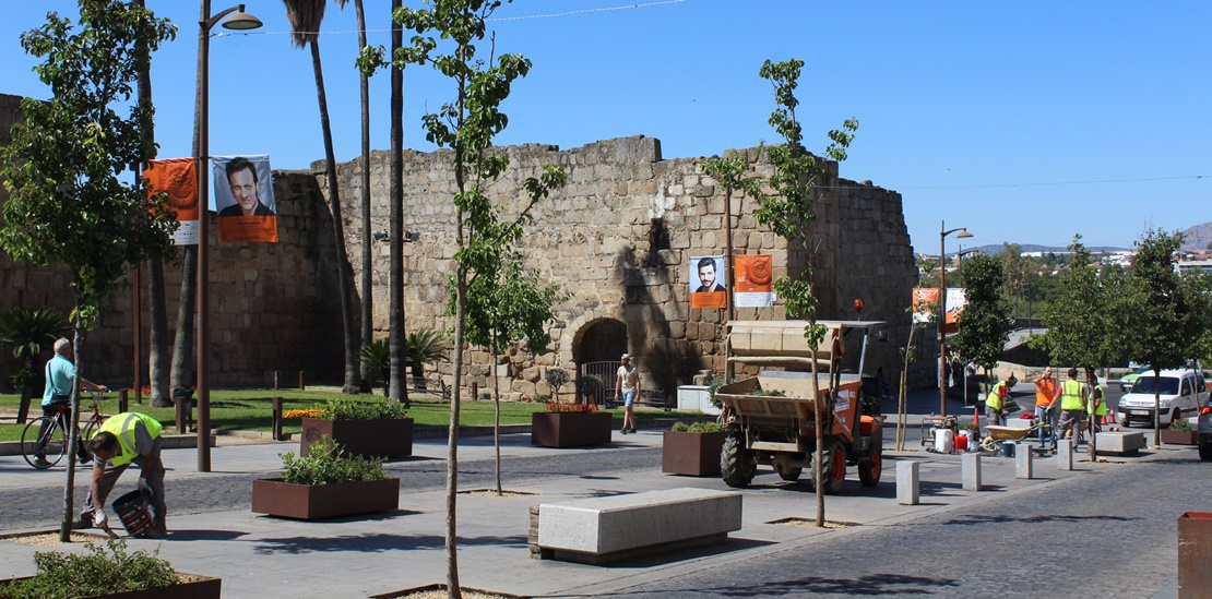 Comienzan los trabajos de pavimentación en los alcorques de los árboles