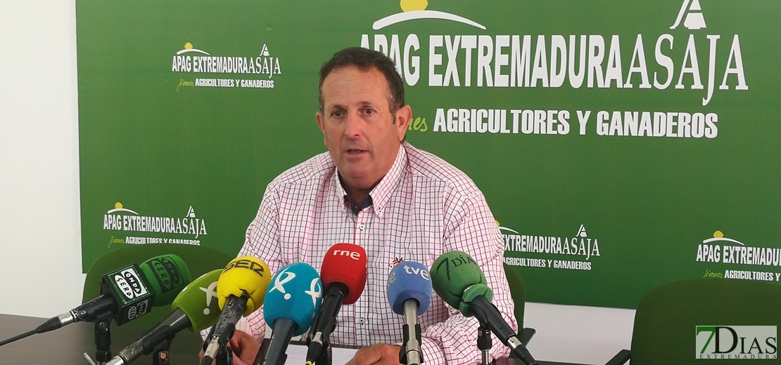 Apag Extremadura Asaja insiste en la necesidad de una consejería de agricultura y ganadería