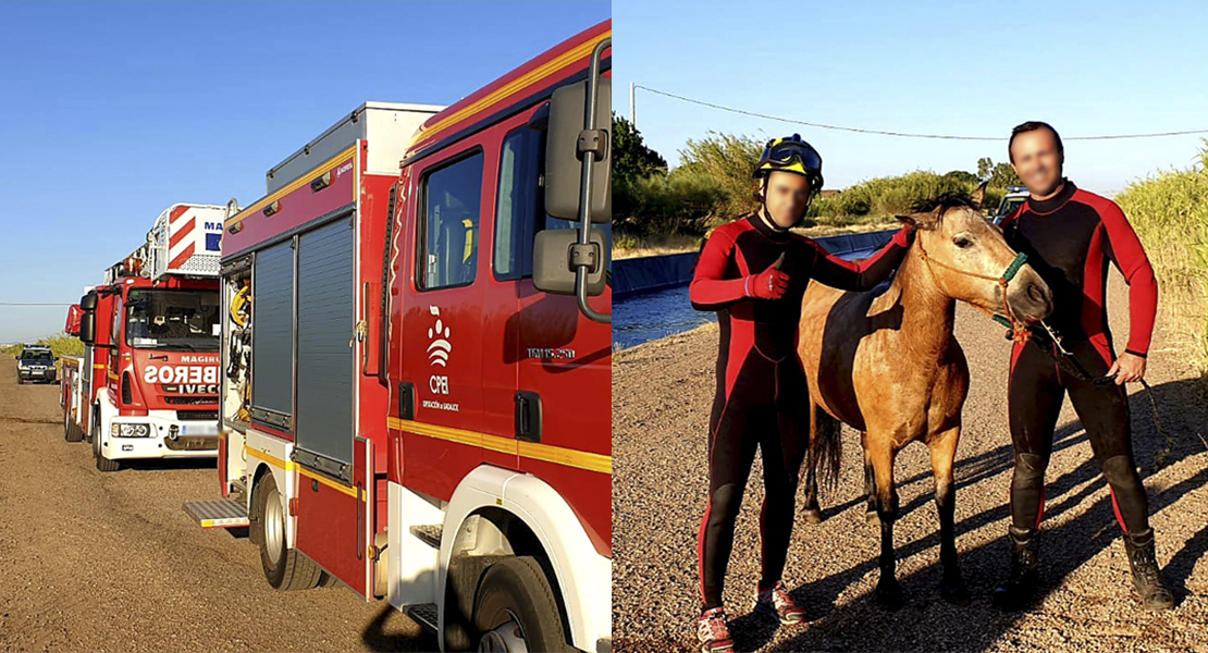 Rescatan a un caballo del canal de Zujar