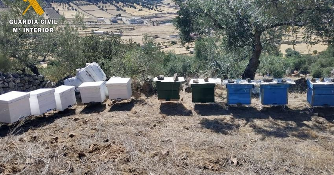 Detenidos por robar 70 colmenas en Peñalsordo (BA)