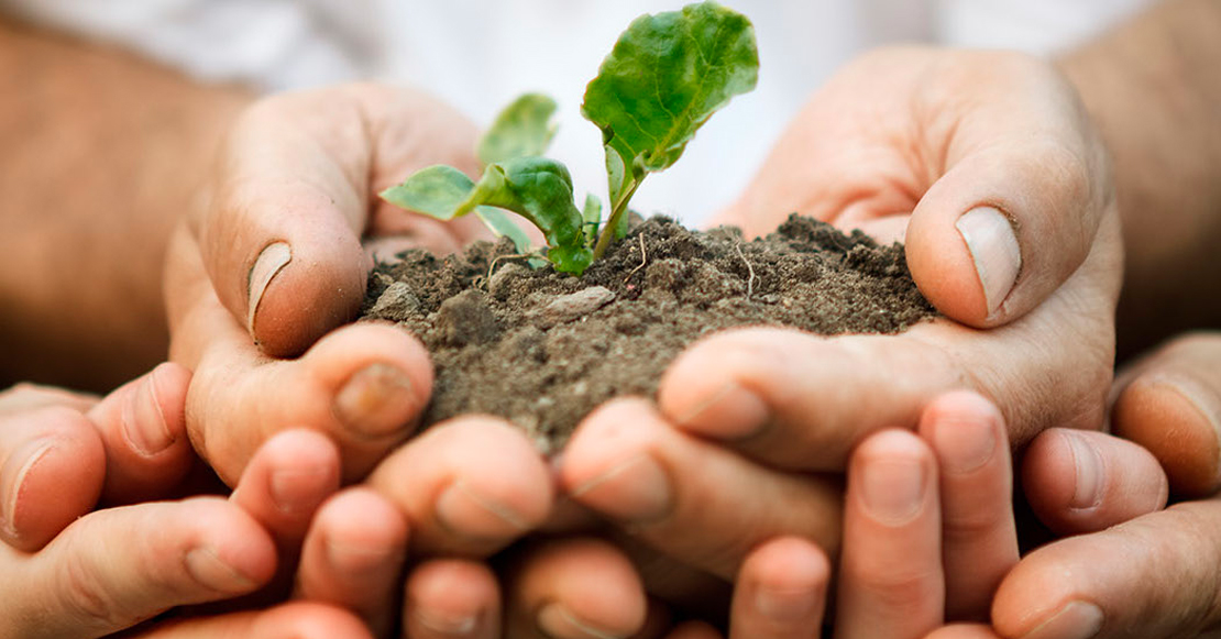 Extremadura y Portugal trabajarán para formar a 225 empresas en Economía Verde y Circular