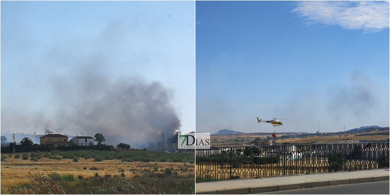 Bomberos y helicóptero del INFOEx intentan sofocar un incendio de pastos en Mérida