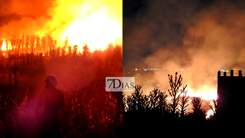 Incendio de pastos cercano a viviendas en Badajoz