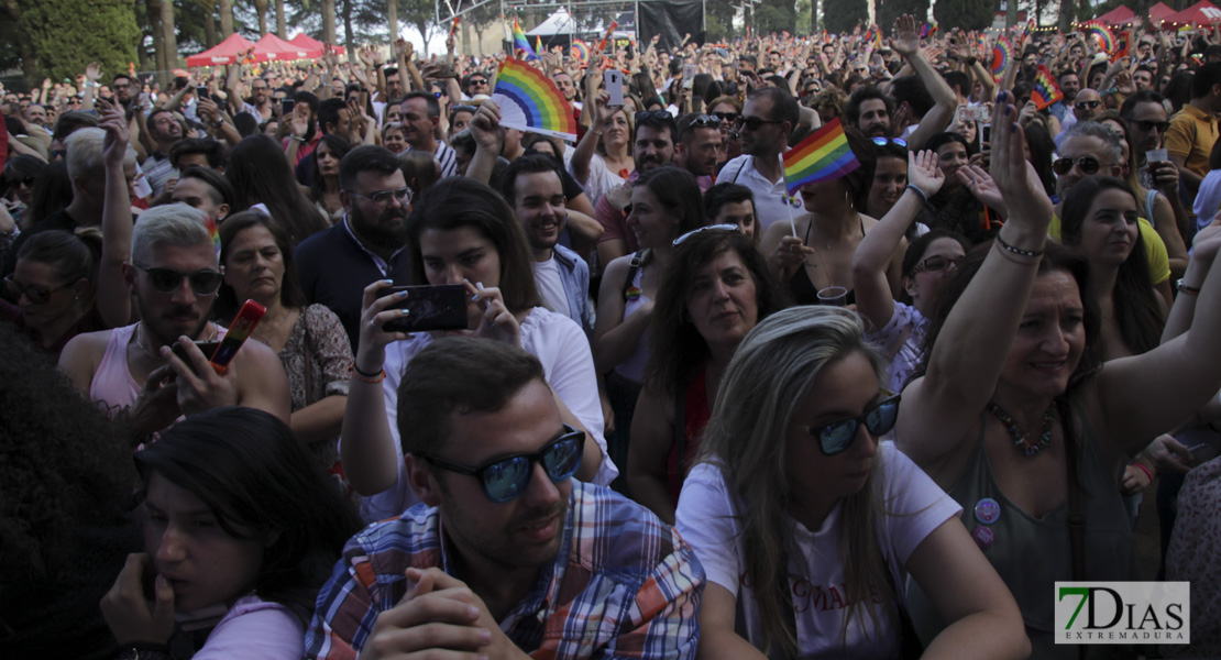 Imágenes de Los Palomos 2019 I