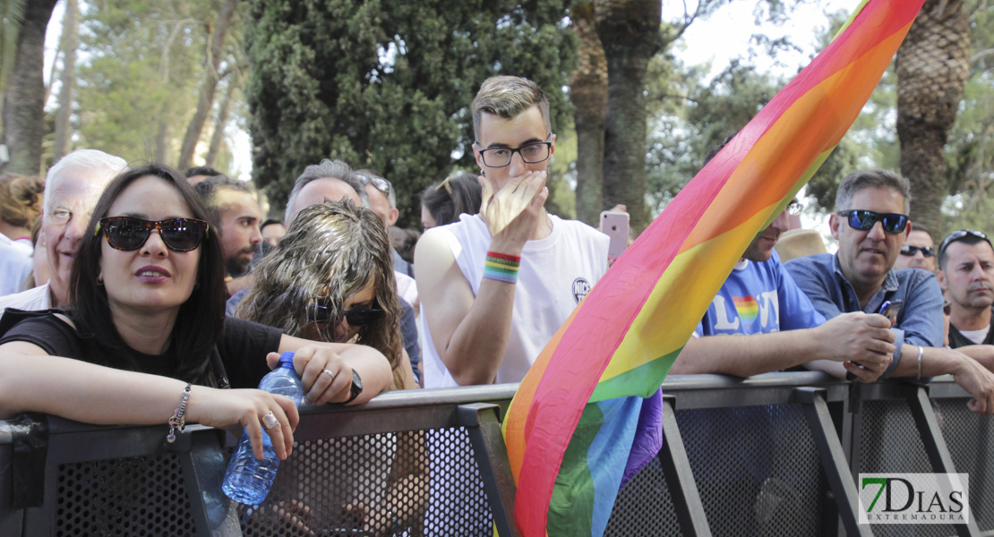Imágenes de Los Palomos 2019 I