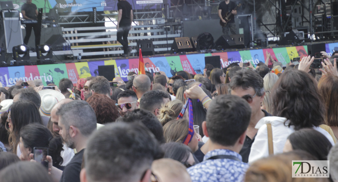 Imágenes de Los Palomos 2019 I