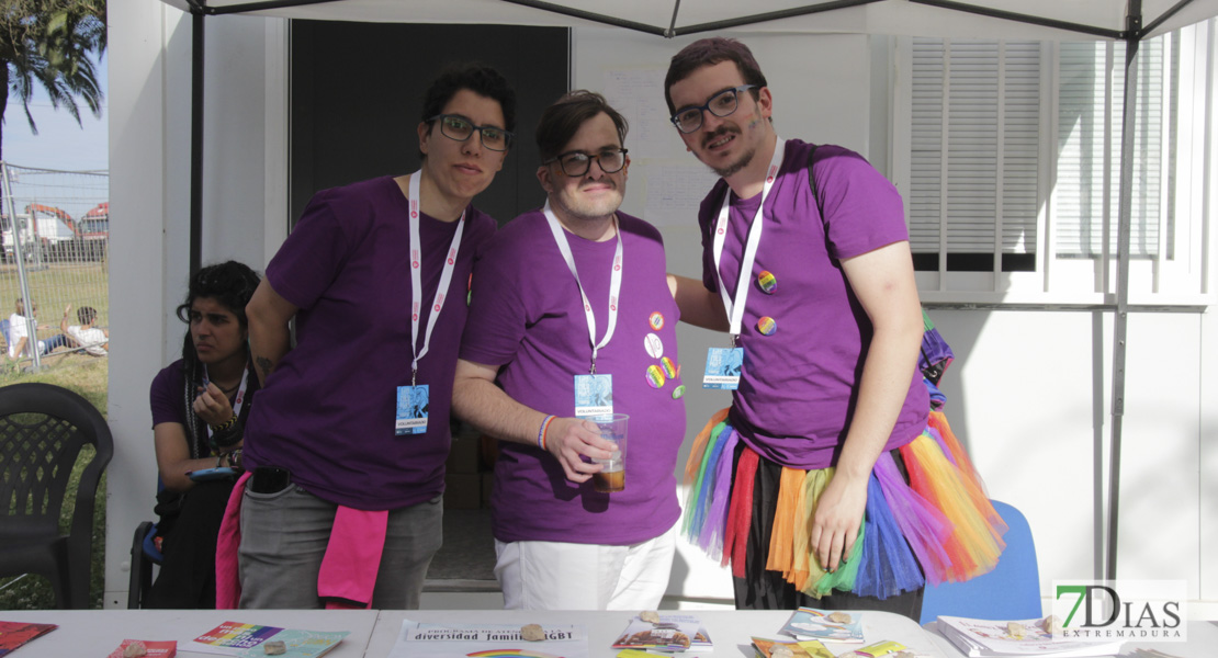 Imágenes de Los Palomos 2019 I