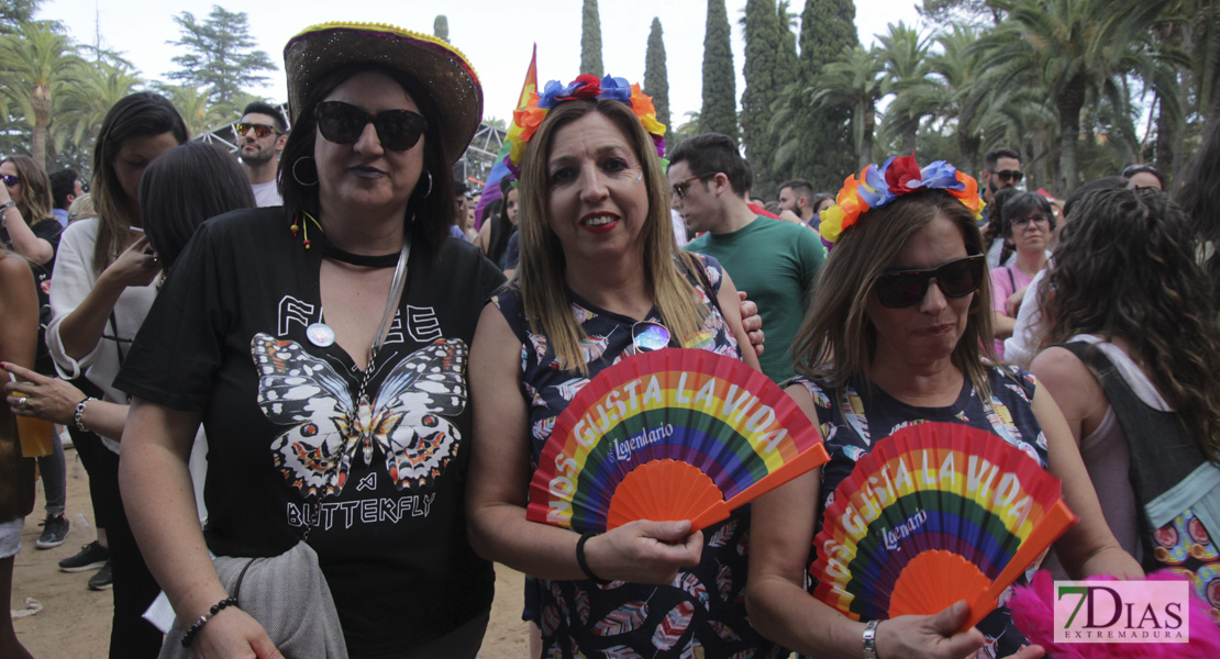 Imágenes de Los Palomos 2019 I