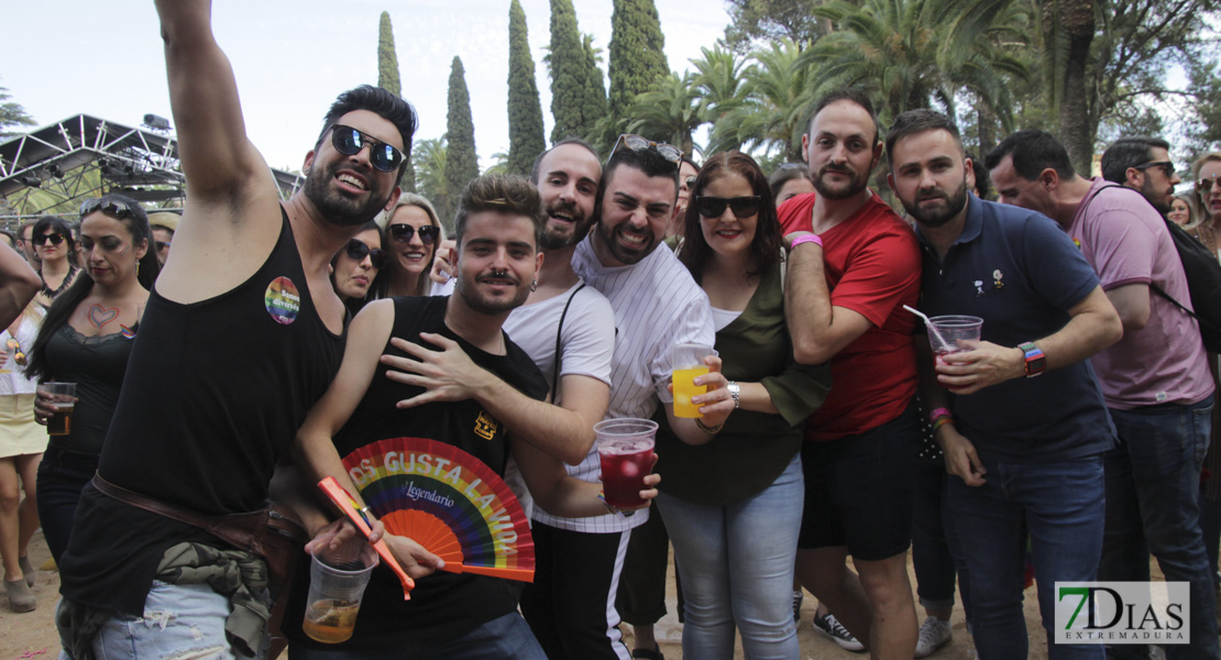 Imágenes de Los Palomos 2019 I
