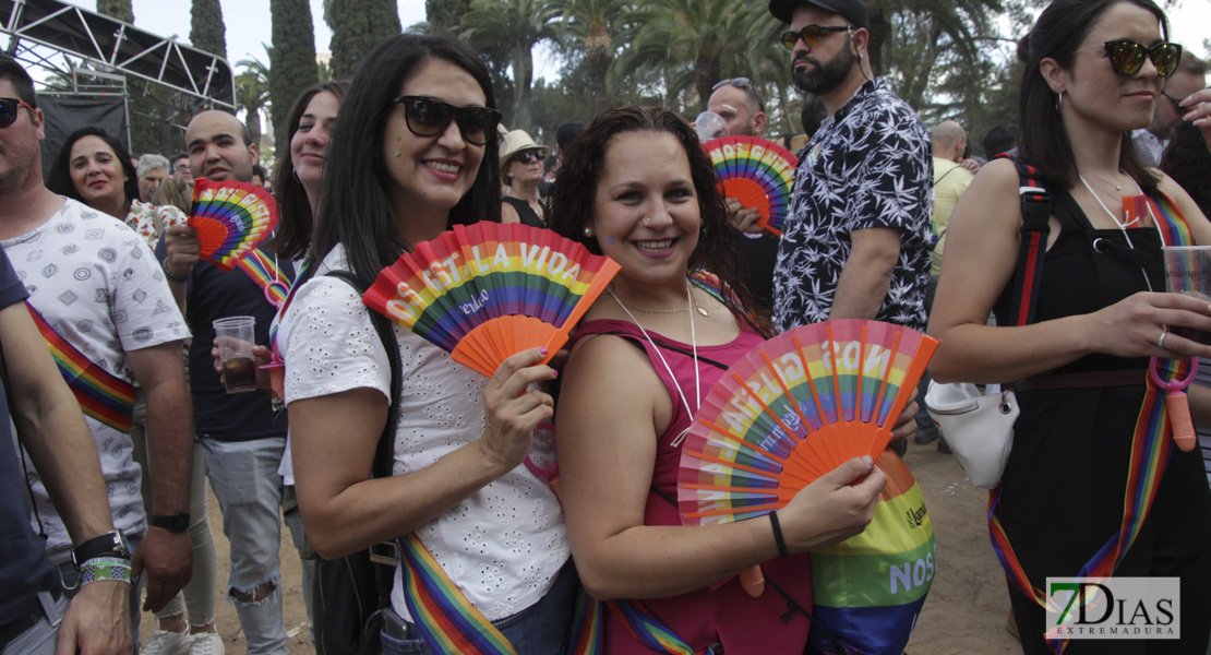 Imágenes de Los Palomos 2019 I