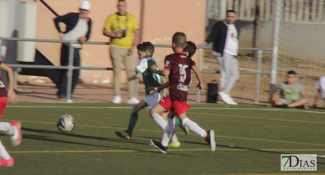 Imágenes del Mundialito de Clubes de Badajoz I