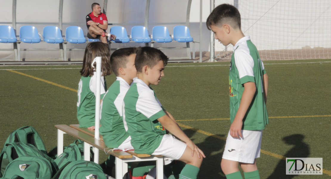 Imágenes del Mundialito de Clubes de Badajoz I