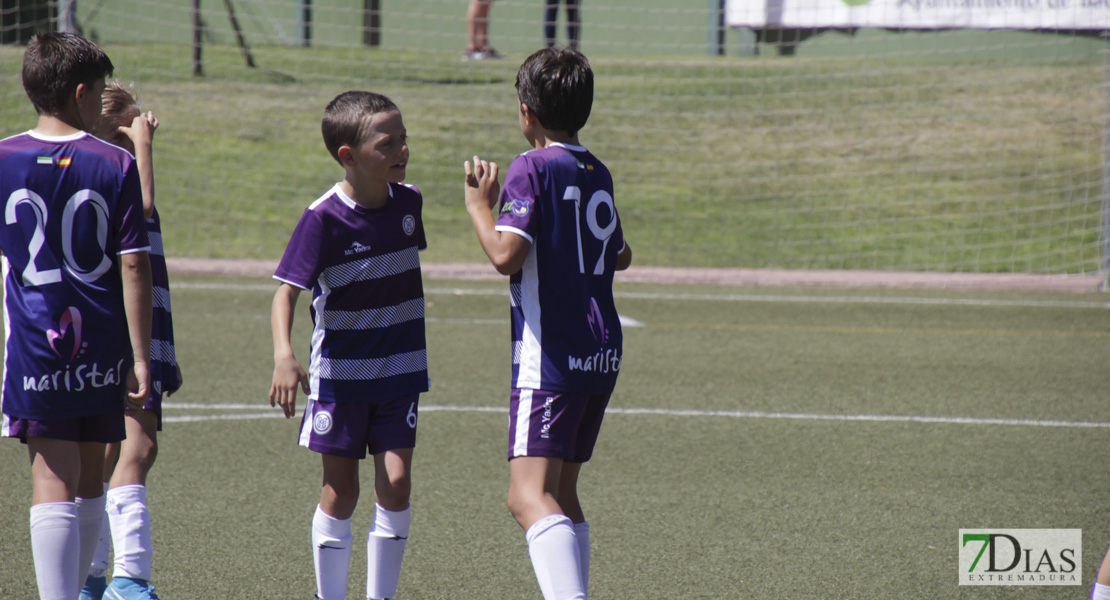 Imágenes del Mundialito de Clubes de Badajoz I