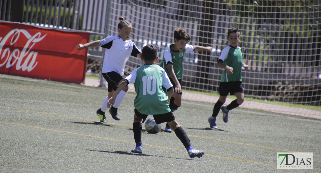 Imágenes del Mundialito de Clubes de Badajoz I