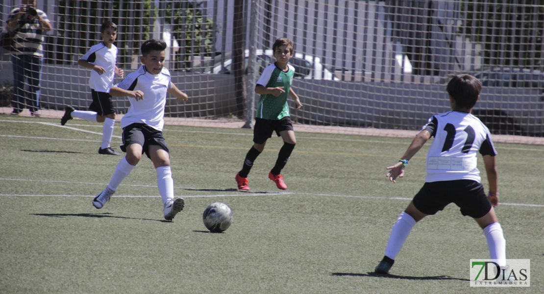 Imágenes del Mundialito de Clubes de Badajoz I