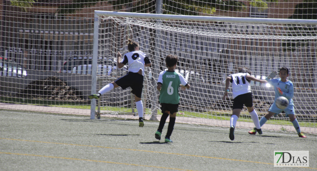 Imágenes del Mundialito de Clubes de Badajoz I