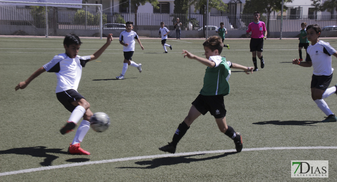 Imágenes del Mundialito de Clubes de Badajoz I