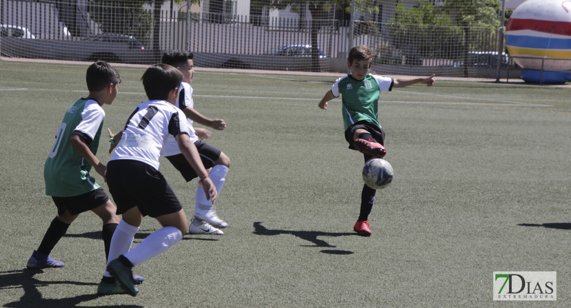 Imágenes del Mundialito de Clubes de Badajoz I