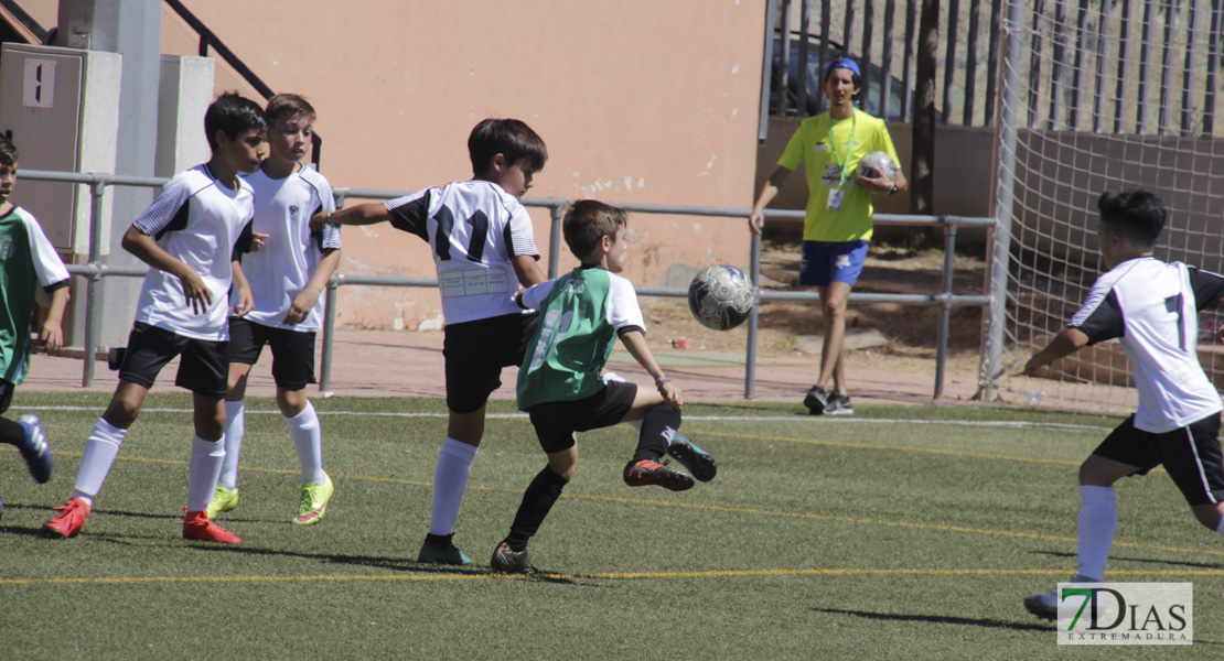 Imágenes del Mundialito de Clubes de Badajoz I