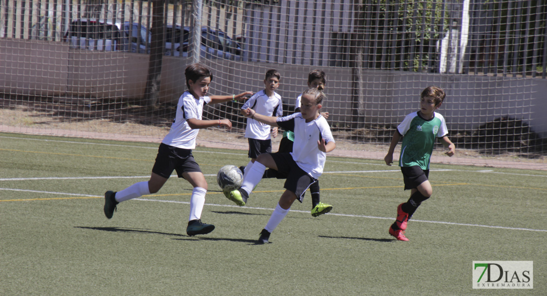 Imágenes del Mundialito de Clubes de Badajoz I