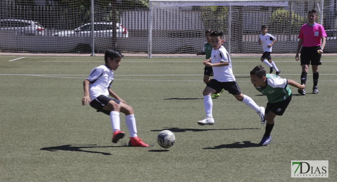 Imágenes del Mundialito de Clubes de Badajoz I