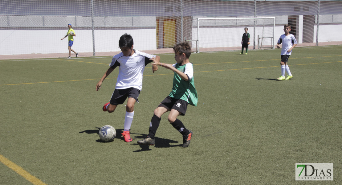 Imágenes del Mundialito de Clubes de Badajoz I