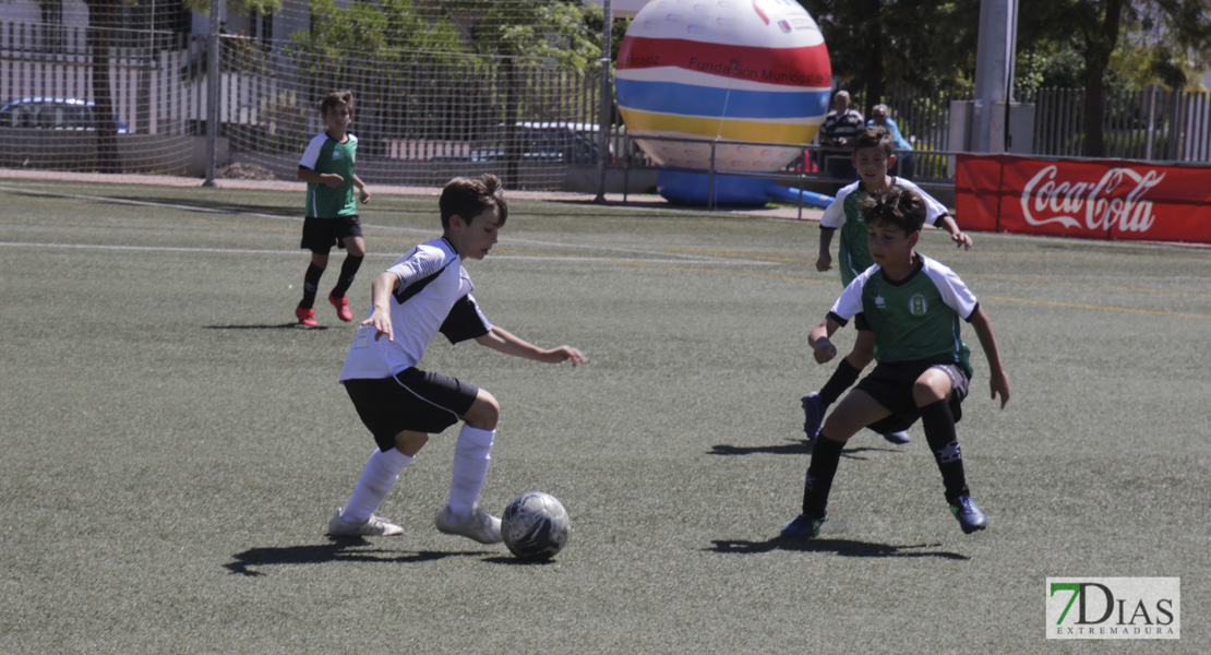 Imágenes del Mundialito de Clubes de Badajoz I