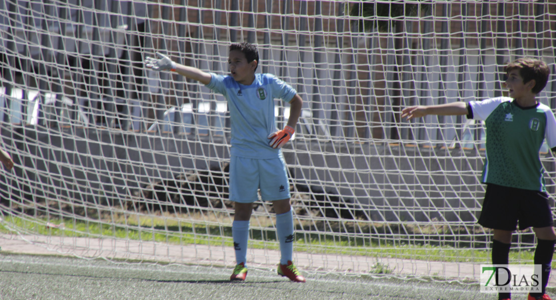 Imágenes del Mundialito de Clubes de Badajoz I