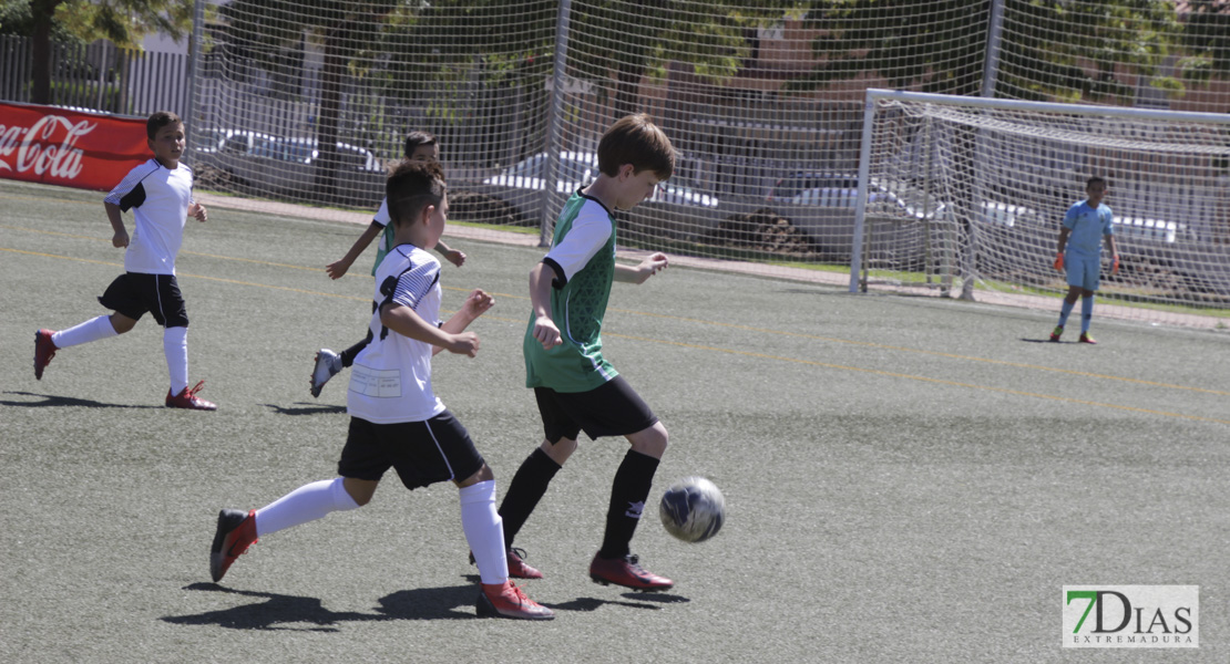 Imágenes del Mundialito de Clubes de Badajoz I