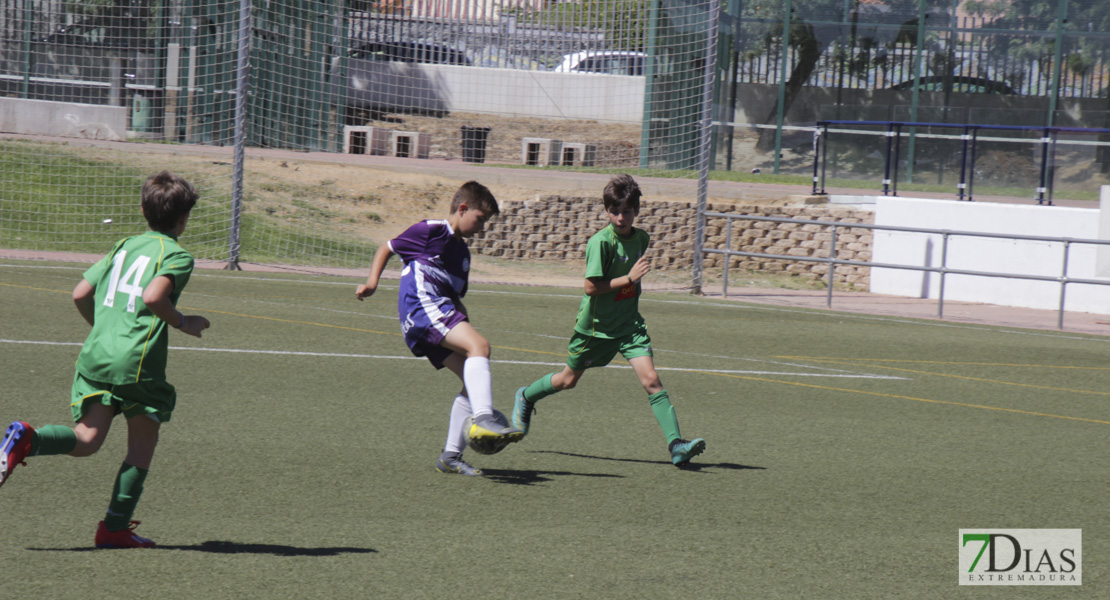 Imágenes del Mundialito de Clubes de Badajoz I