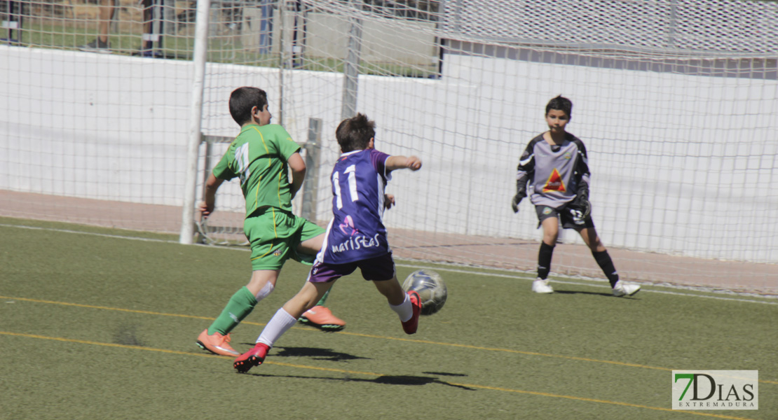 Imágenes del Mundialito de Clubes de Badajoz II